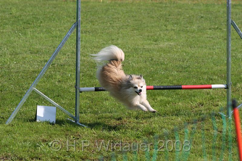 jubil.lusten. 190.jpg